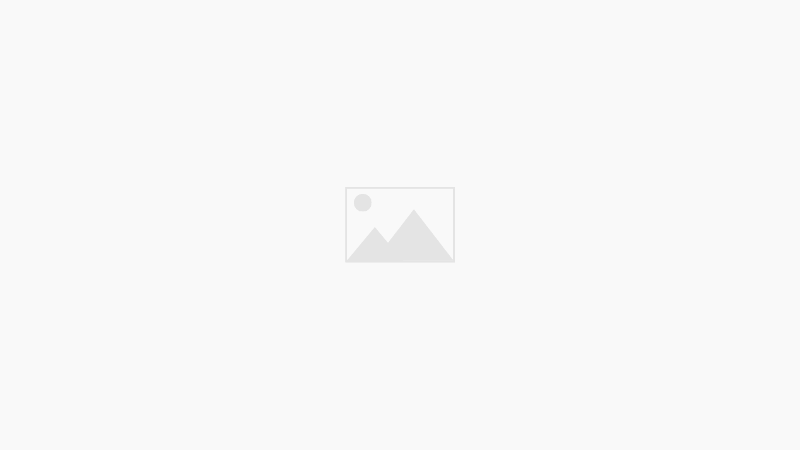 Independent Models Online 3 Coronavirus disease 2019